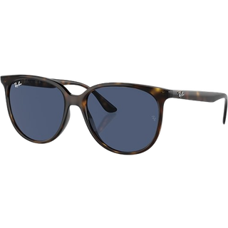 Ray - Ban Kvinde RB4378 710/80 Solbriller Injiceret Skildpadde Blå Firkantet Normal
