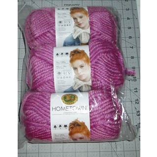 Lion Brand Yarn Hometown Yarn 1-Pack Palm Bay Orchid