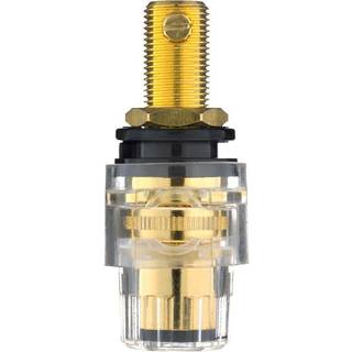 Inakustik højttaler terminal stik | Sort