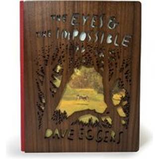 The Eyes and the Impossible