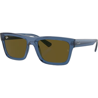 Ray-Ban Warren - RB4396 668073 5720