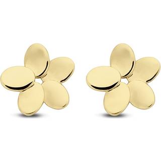 Schneider Basic Ohrstecker - ZS117 - gold