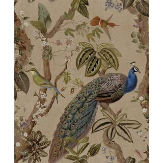 Albany Wallpaper Cassia 91740