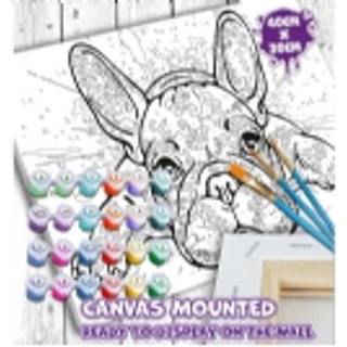 Mal efter tal på lærred 30x40cm, bulldog