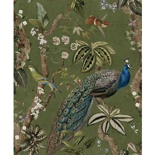 Albany Wallpaper Cassia 91745