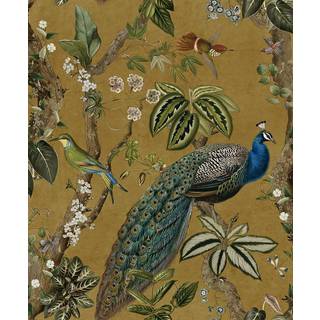 Albany Wallpaper Cassia 91743