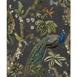 Albany Wallpaper Cassia 91741