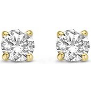 Schneider Basic Ohrstecker - ZS123 - gold