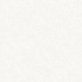 Fiona Home Paper - 100101