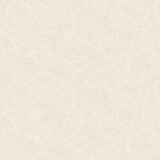 Fiona Home Paper - 100102