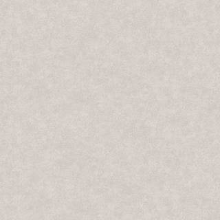 Fiona Home Paper - 100103