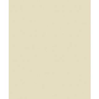 Fiona Home Paper - 100906