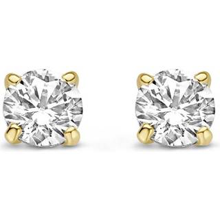 Schneider Basic Ohrstecker - ZS124 - gold