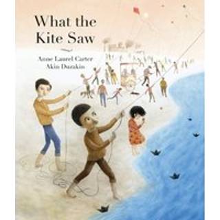 What the Kite Saw