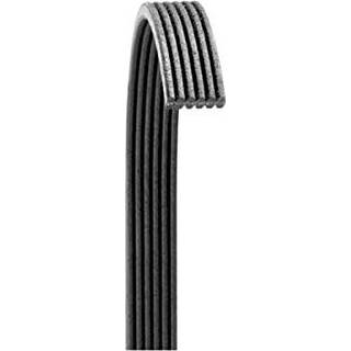 Dayco 6081255 Poly Rib Serpentine Belt