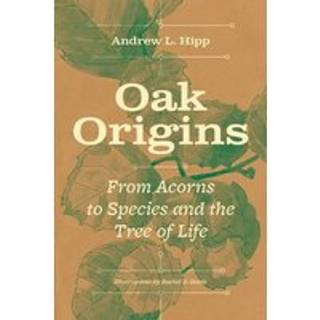 Oak Origins