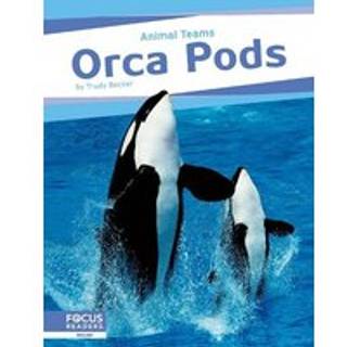 Orca Pods