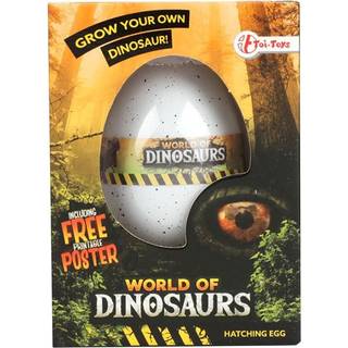 Toi-Toys Dinosaur growth egg (Assorted)