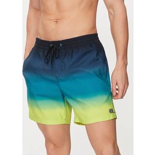 Billabong All Day Fade Badebukser Herrer størrelse S farve kulørt