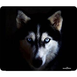 Blue Eyed Husky tyk musem?tte fra Atomic Market