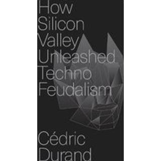 How Silicon Valley Unleashed Techno-feudalism