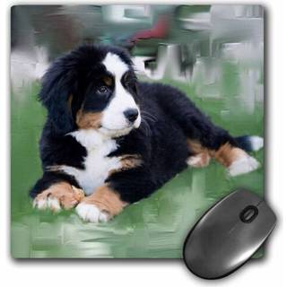 3Drose LLC 8 x 8 x 0,25 tommer Mouse Pad Bernese Mountain Dog (MP_4038_1)