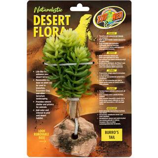 Zoo Med Burros Tail Desert Flora Terrarium plante