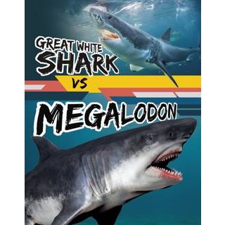 Great White Shark vs Megalodon