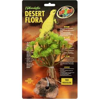 Zoo Med Tree Houseleek Desert Flora Terrarium Plant