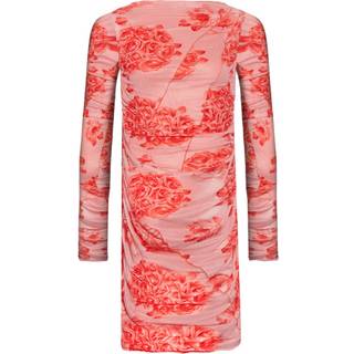 Noella Joanna Dress Rose Print