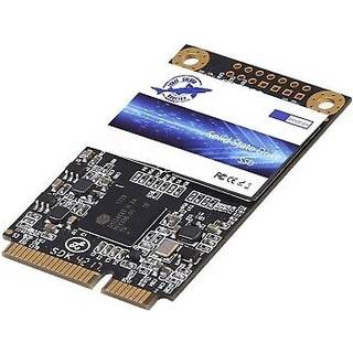 Dogfish SSD MSATA 500 GB Intern Solid State Drive Mini Sata Disk Drive High Performance harddisk til desktop Laptop Notebook (MSATA 500GB)