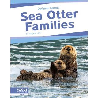 Sea Otter Families