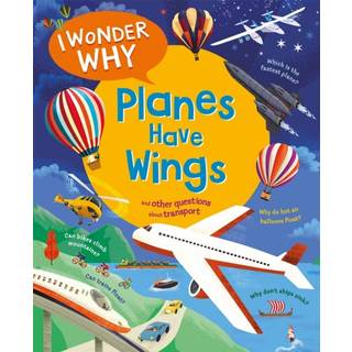 I Wonder Why Planes Have Wings