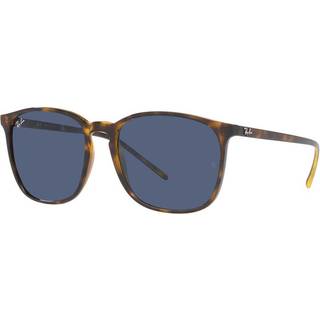 Ray - Ban Unisex RB4387 710/80 Solbriller Injiceret Skildpadde Blå Firkantet Normal