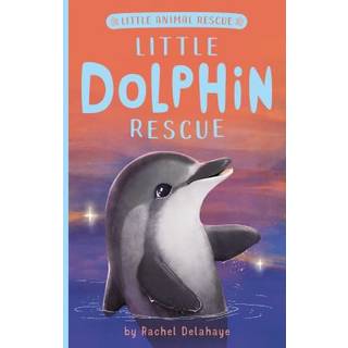Little Dolphin Rescue (4, 1900) | Rachel Delahaye