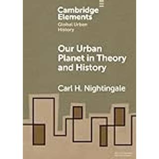 Our Urban Planet in Theory and History