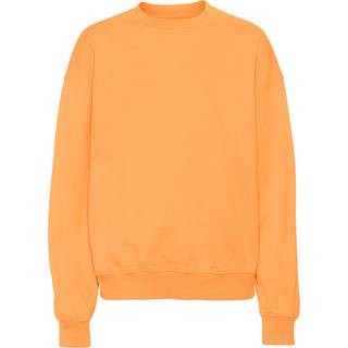 Organic Oversized Crew Sandstone Orange (S)