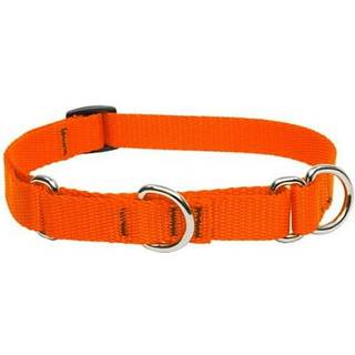 Lupinepet Basics 3/4 """" Blaze Orange 14-20 """" Martingale krave til mellemstore og større hunde