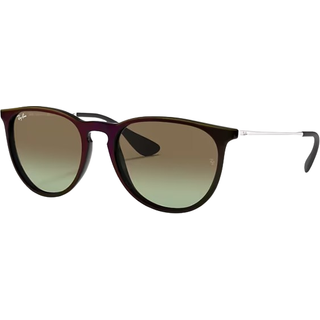 Ray-Ban Erika RB4171 6316E8 54