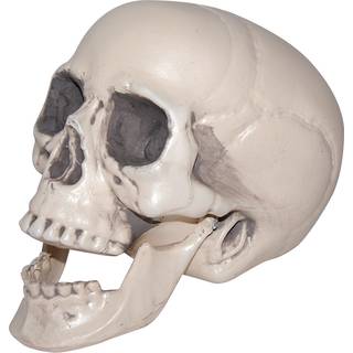 Totenkopf mit beweglichem Unterkiefer