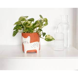 Winkee - Urtepotteskjuler - Flower pot cat