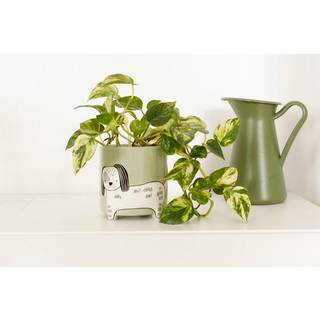 Winkee - Urtepotteskjuler - Flower pot dog