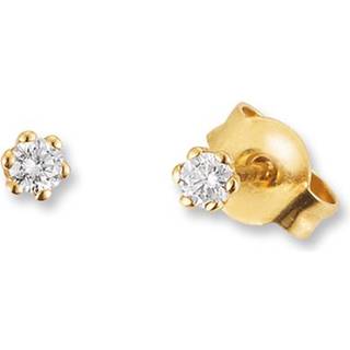 Palido Ohrstecker - New York Collection F1304G - gold