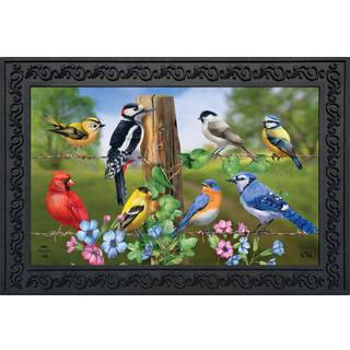 Briarwood Lane Country Birds Spring Doormat Finch Blue Jay Cardinal Indoor Outdoor 30 """" X 18 """"