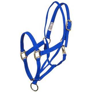 AIME importerer grundl?ggende pull tilbage tr?ning halter bl?