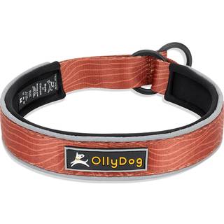 OllyDog Martingale Reflective Comfort Collar Clay, S