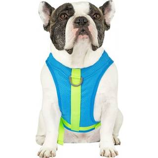 Canada Pooch Dog Cooling Harness - Fordampende kølesele til hunde med åndbart meshmateriale og reflekterende foring Justerbar hundekøling vest Fa