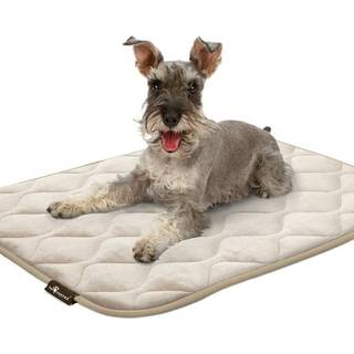 Paw-inspirerede vaskbare, polstrede kassemtter til hunde | 35 x 22 Pad Passer til 36-tommer kenneler | Lkagettte, vandttte plys-kledyrsenge