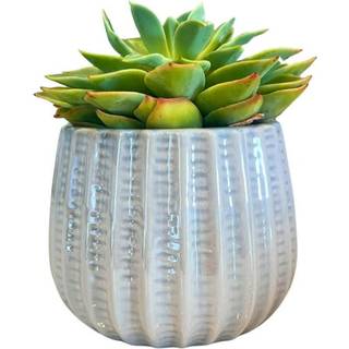 Beundret af naturen 4 """" keramisk blomsterplanter keramisk pot planter indendørs keramisk skål stueplante keramisk pot dekorativ planter til inde