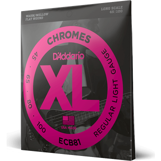 D'Addario ECB81